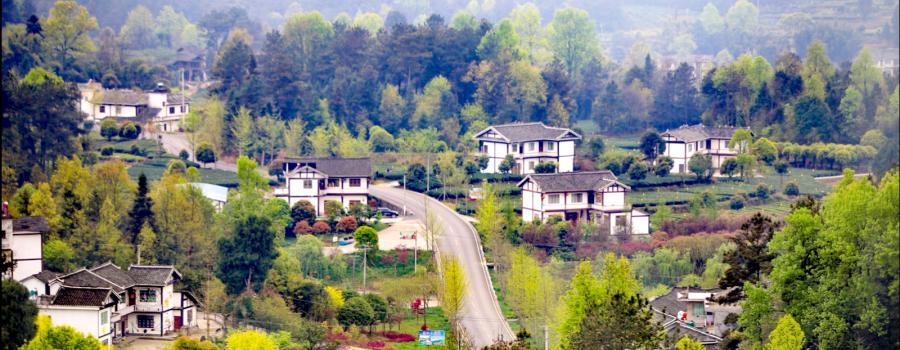 提升旅游品质,驴迹科技延长民宿业服务链条