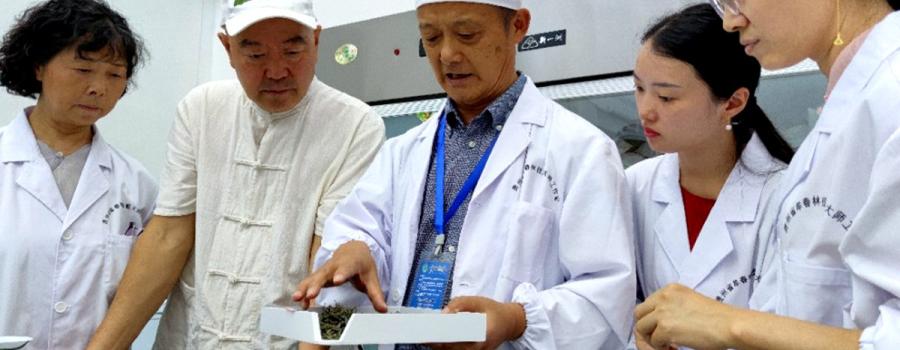 第五届全国茶业职业技能竞赛绿茶加工贵州选拔赛落幕