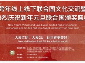 联合国网合集团安芝总裁新年致辞!