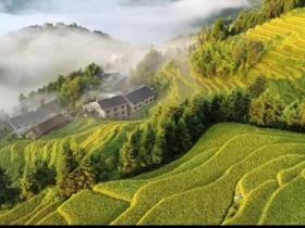 杨萍:坚持“四个高度”注重 统筹做好娄底“三农工作”