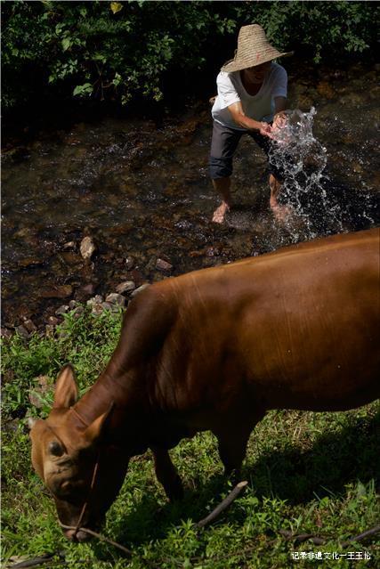 侗戏师的耕读岁月和戏剧人生——侗戏国家级传承人吴胜章-图片4