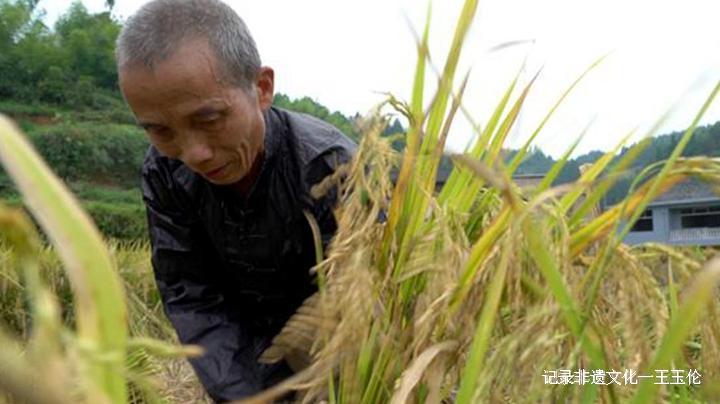 侗戏师的耕读岁月和戏剧人生——侗戏国家级传承人吴胜章