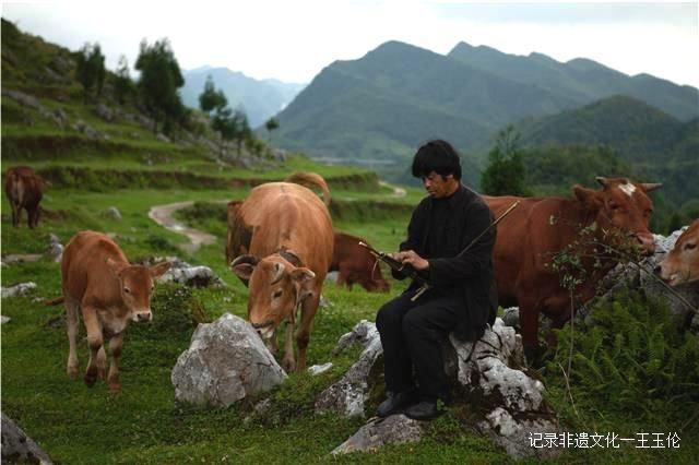 苗族芦笙舞(滚山珠)国家级传承人 ——王景才-图片9