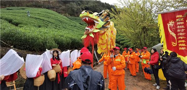 11265106387771510_83.jpg 海曙区第3届开茶节今天在五龙潭茶业生态茶园举行-图片1