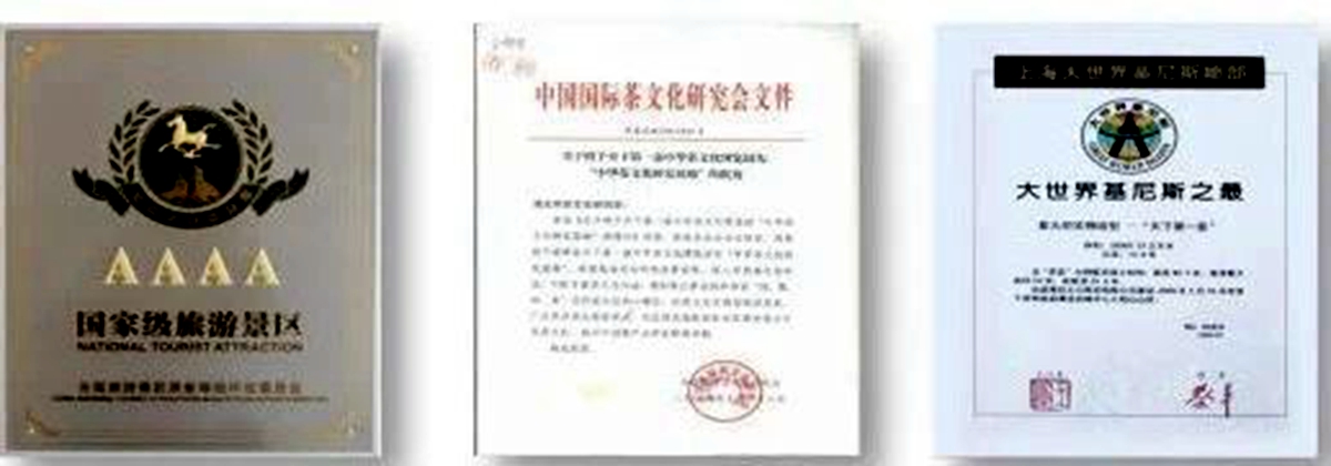 中华茶道馆——以茶为媒,以节会友,茶旅融合走出新未来!-图片3