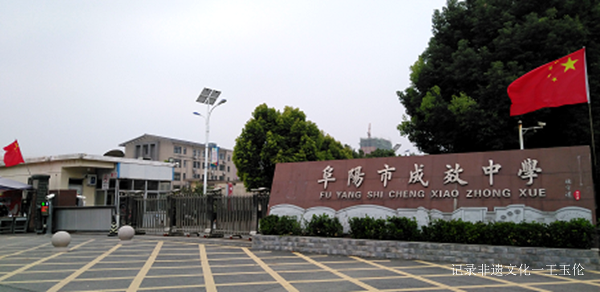 奋斗百年路 启航新征程 ——安徽阜阳市成效中学向党的百年华诞献礼!