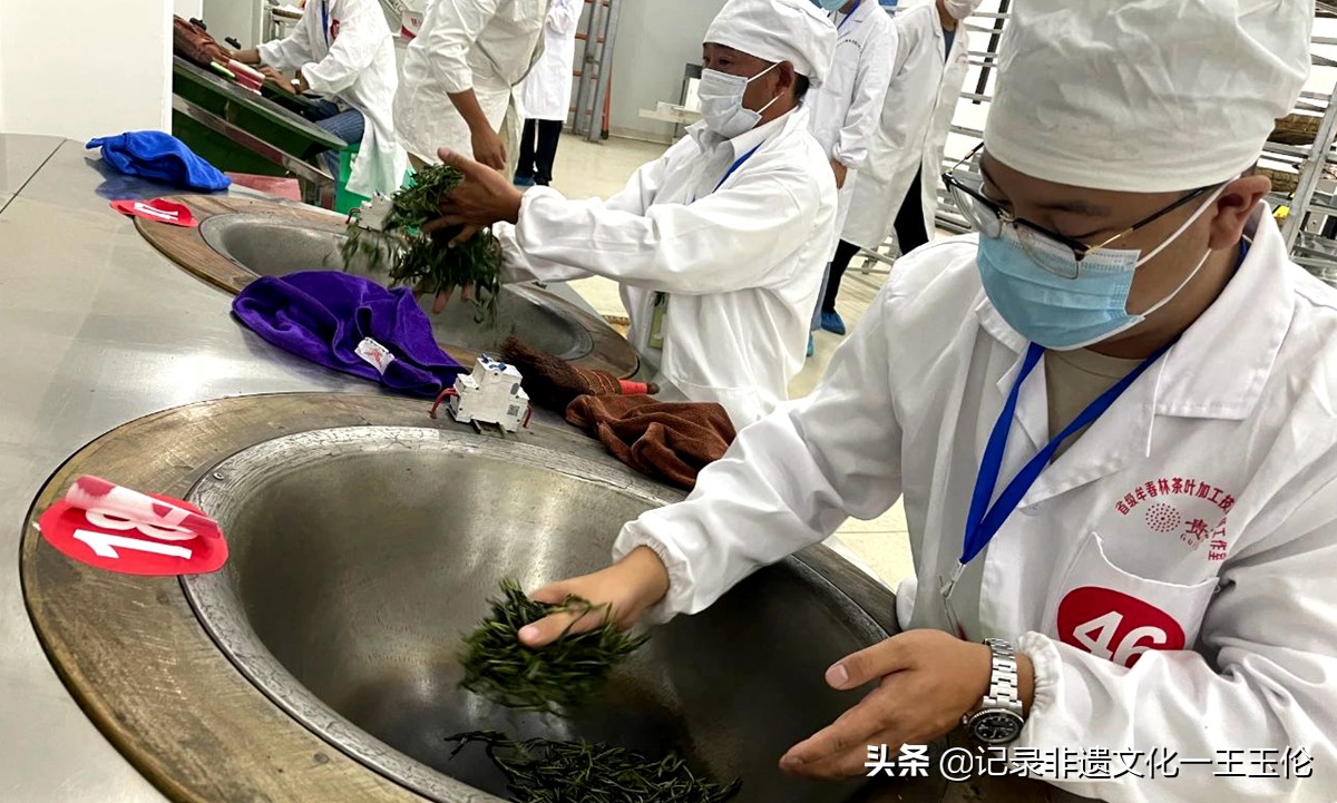 第五届全国茶业职业技能竞赛绿茶加工贵州选拔赛落幕