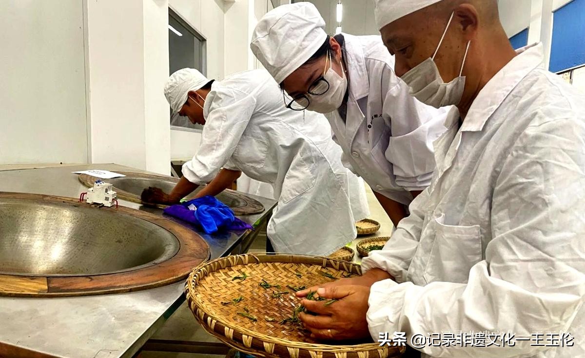 贵州绿茶加工能力提升专项能力培训班9月15日在花溪久安正式开班