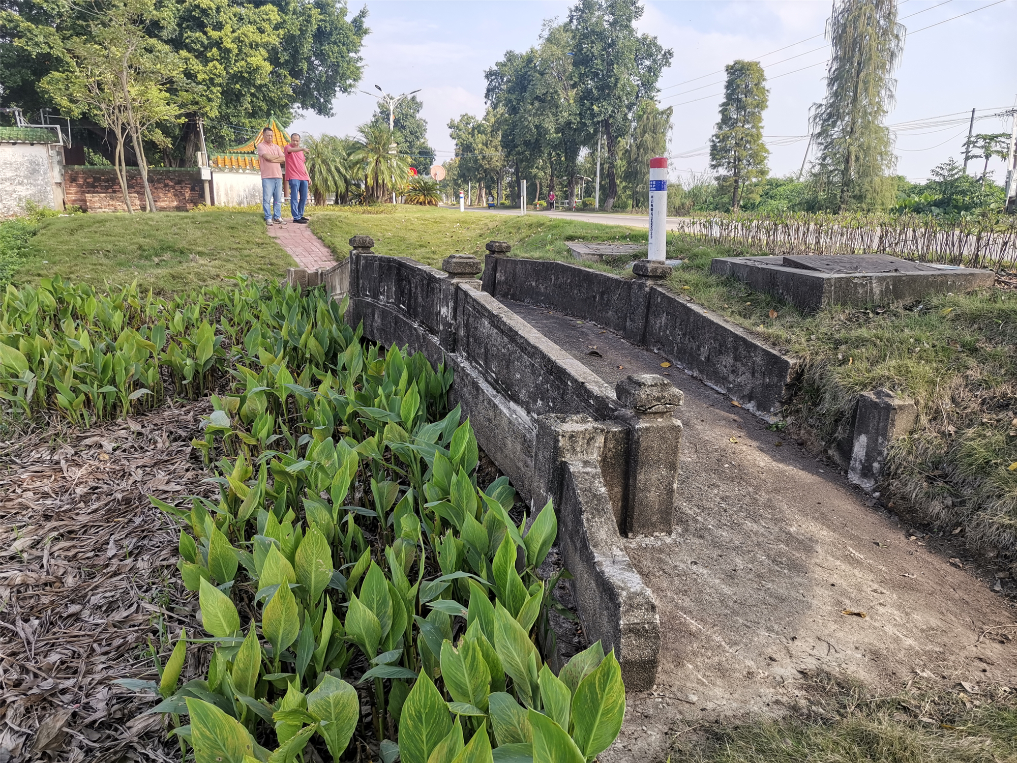 古巴共和国驻广州总领事馆总领事丹尼思到访新会沙堆镇