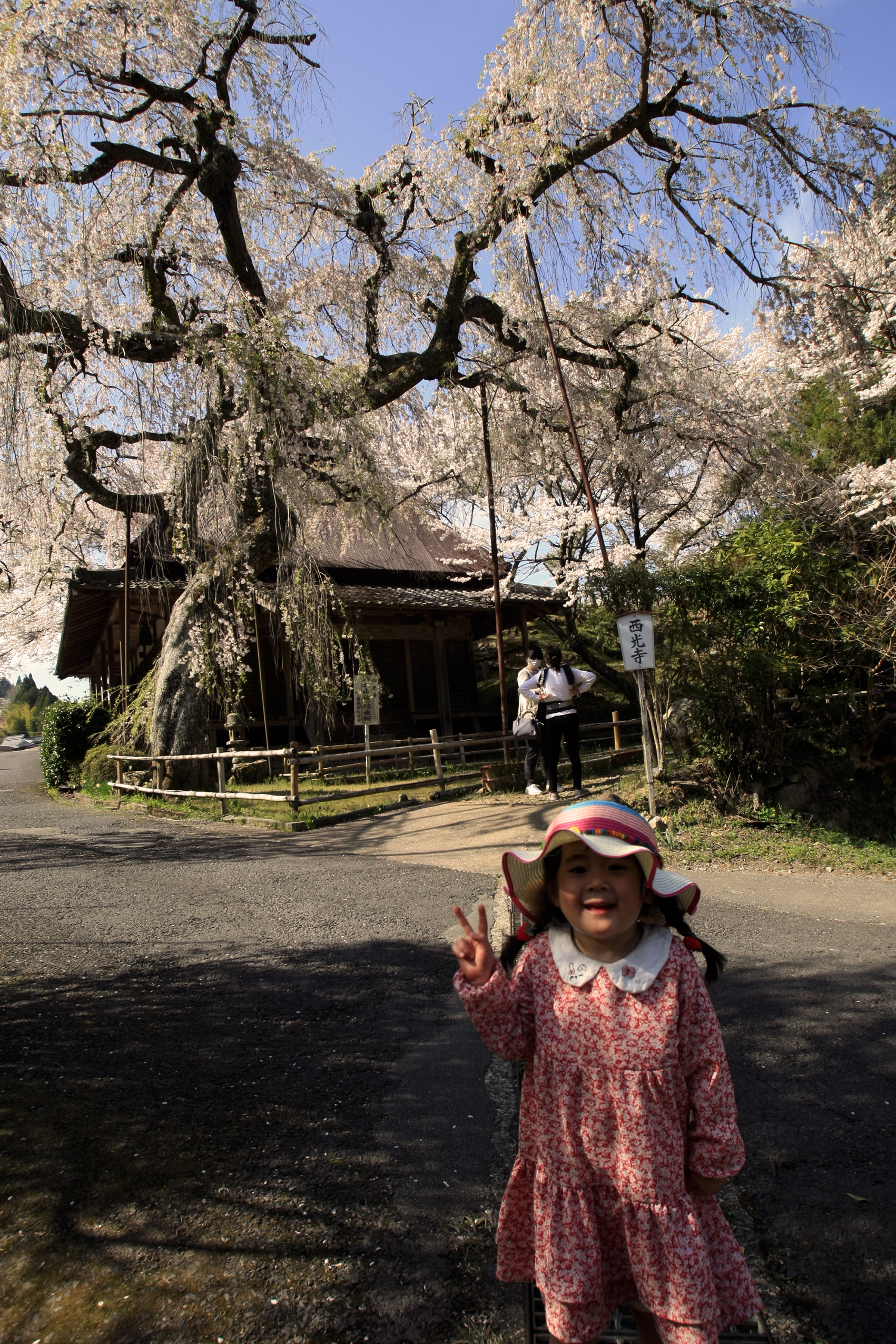 関西中华总商会举办春季郊游活动-图片2