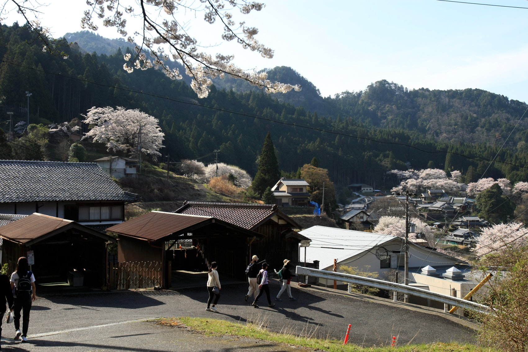関西中华总商会举办春季郊游活动