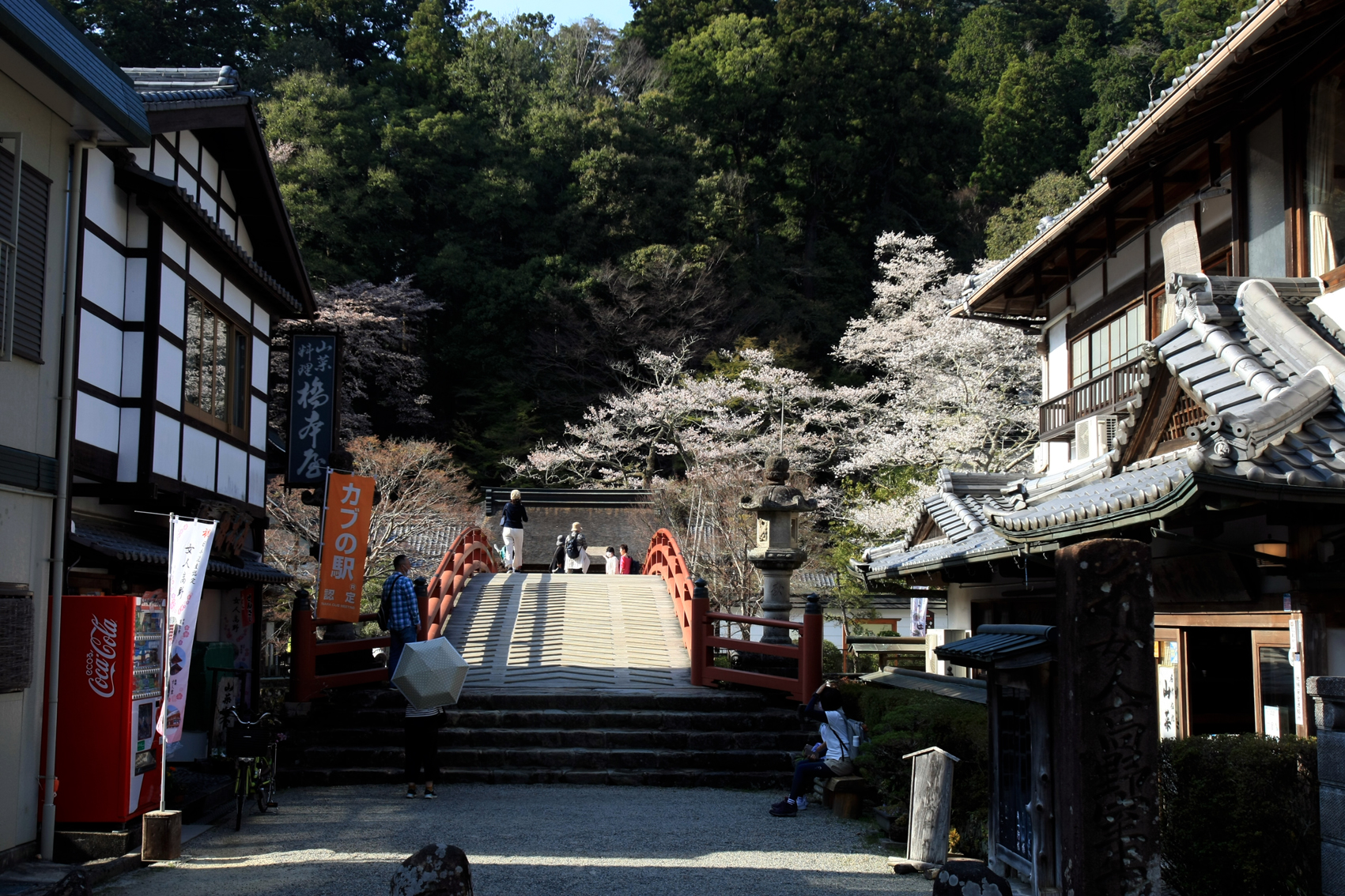 関西中华总商会举办春季郊游活动-图片3