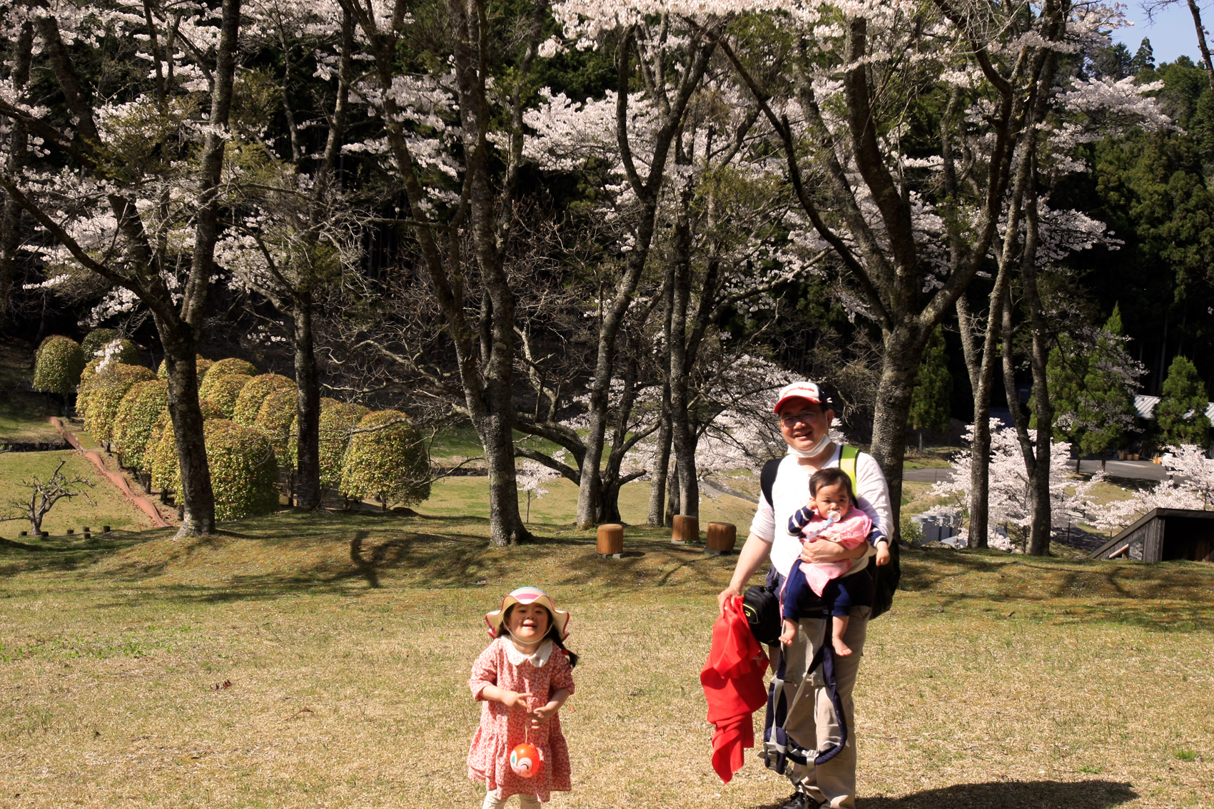 関西中华总商会举办春季郊游活动-图片2