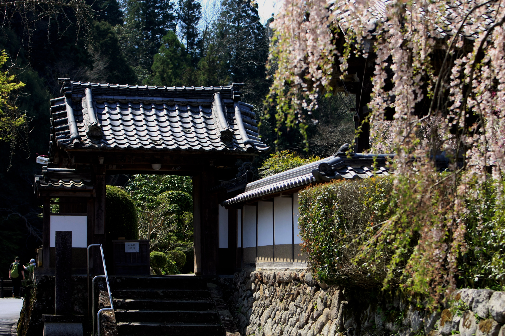 関西中华总商会举办春季郊游活动-图片1