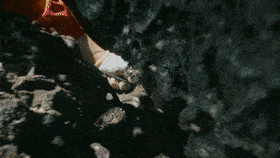 【川岛镇】舌尖上的美食文化-图片4