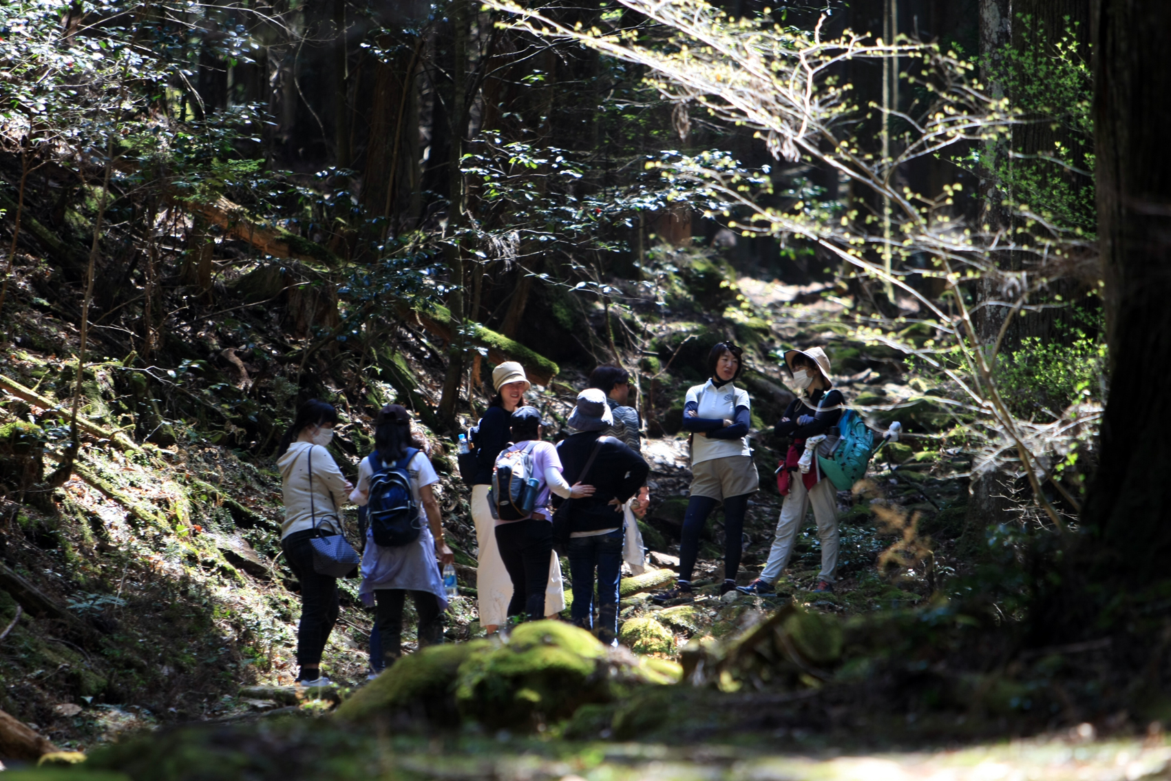 関西中华总商会举办春季郊游活动-图片1