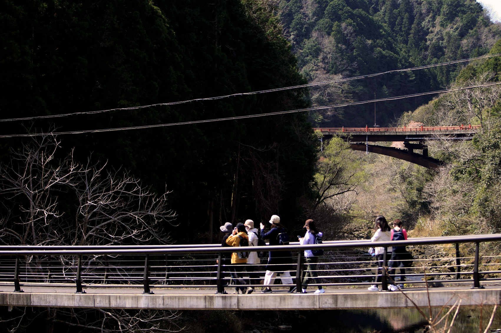 関西中华总商会举办春季郊游活动-图片1