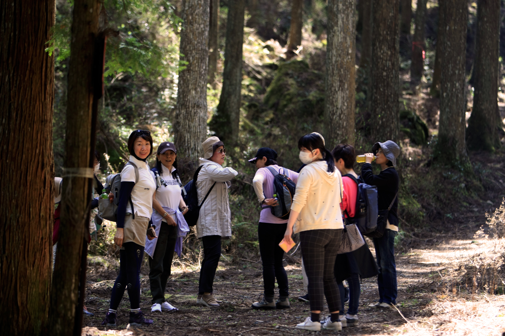 関西中华总商会举办春季郊游活动-图片1
