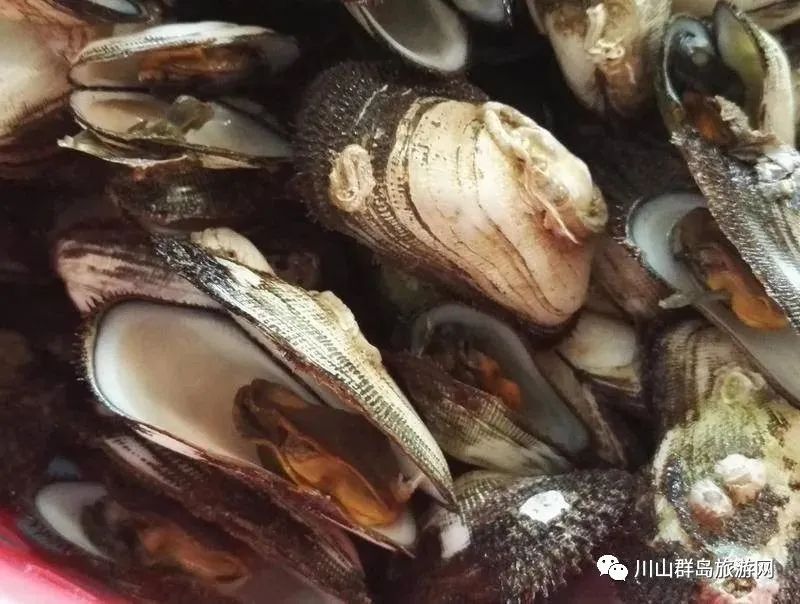 【川岛镇】舌尖上的美食文化-图片2