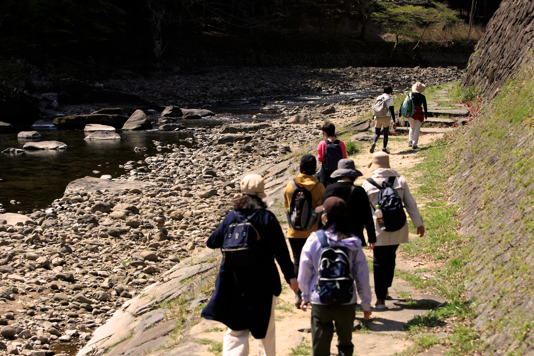 関西中华总商会举办春季郊游活动-图片1