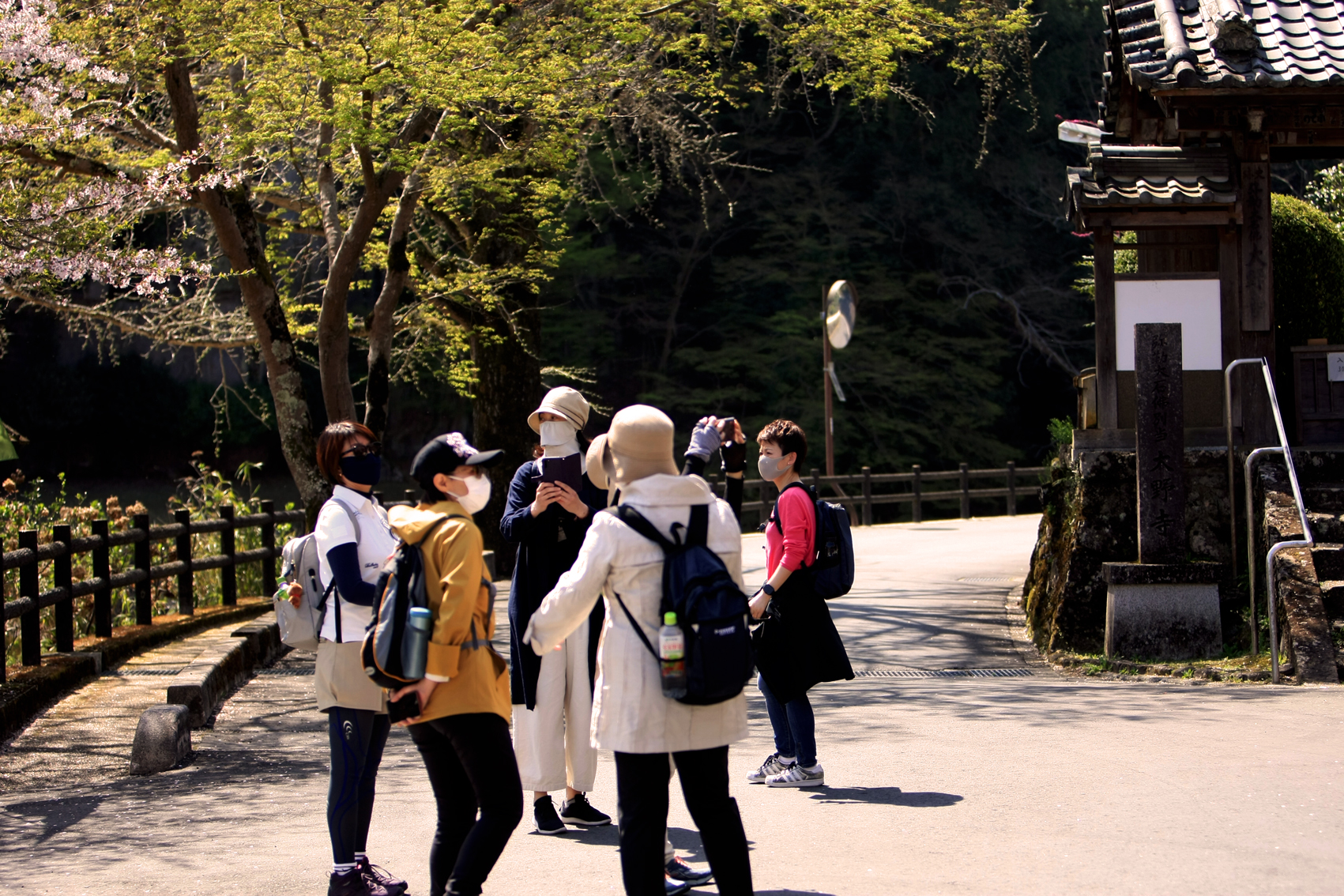 関西中华总商会举办春季郊游活动-图片1