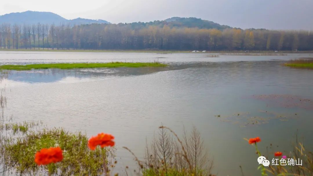 确山惊现“小三峡”-图片5