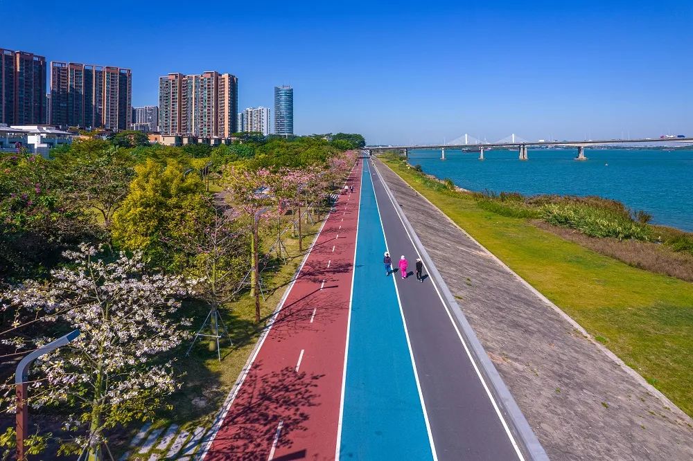 全国第六!有一种靓丽,叫“江门蓝”!-图片5