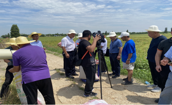 邓泗洲对话何登骥功能性苦瓜稻测产验收-图片2