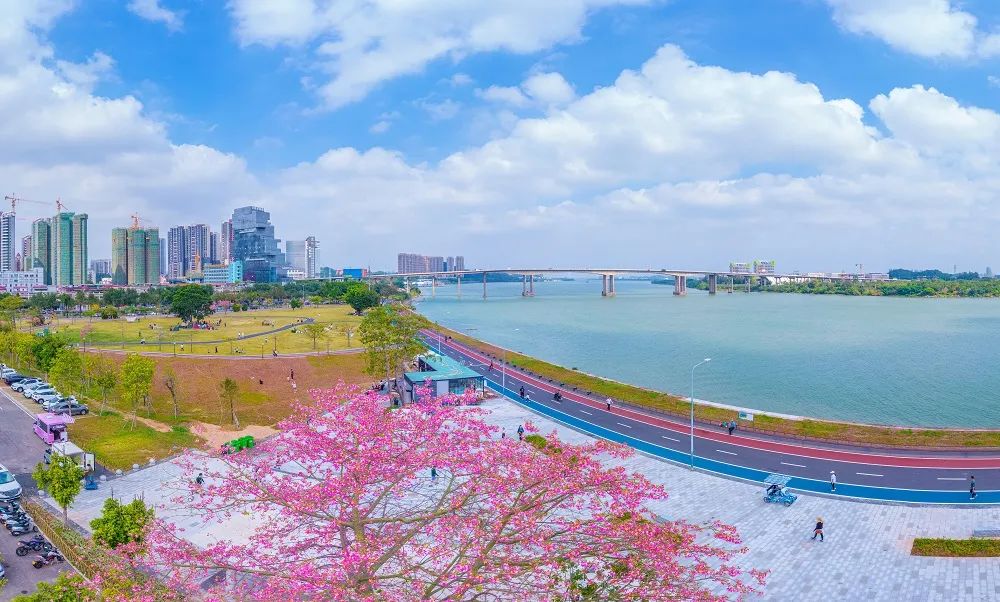 全国第六!有一种靓丽,叫“江门蓝”!-图片3