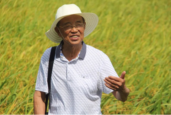 邓泗洲对话何登骥功能性苦瓜稻测产验收-图片2