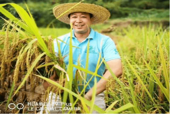 邓泗洲对话何登骥功能性苦瓜稻测产验收