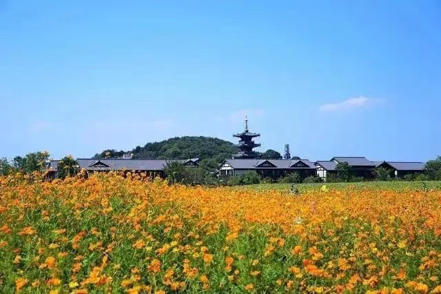 美丽湖湾 云尚拈花|2022“亲情中华•为你讲故事”江苏网上常规营第三期无锡段滨湖主场即将启幕!