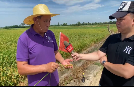 邓泗洲对话何登骥功能性苦瓜稻测产验收-图片2