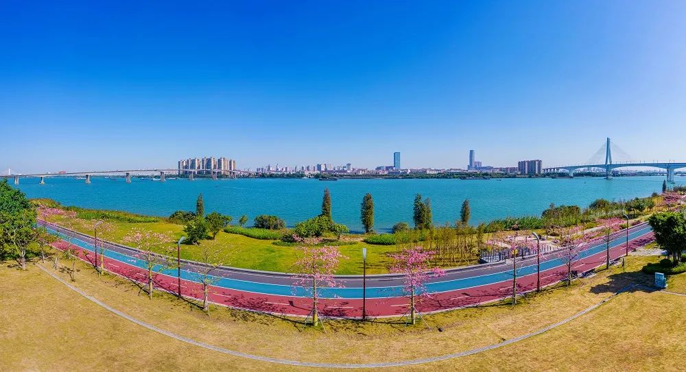 全国第六!有一种靓丽,叫“江门蓝”!-图片4