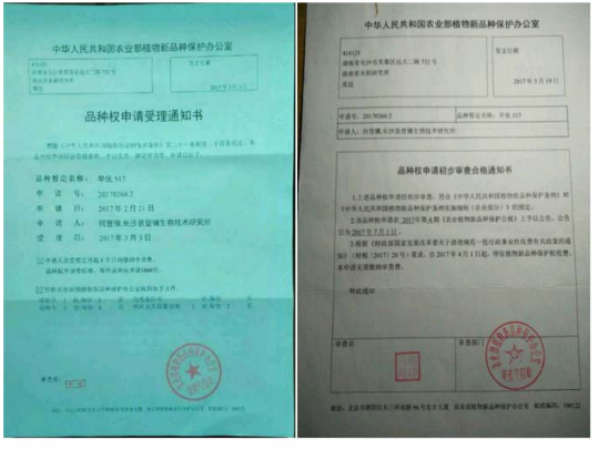 邓泗洲对话何登骥功能性苦瓜稻测产验收-图片3