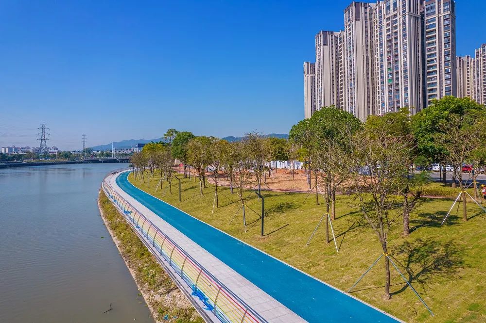 全国第六!有一种靓丽,叫“江门蓝”!-图片6