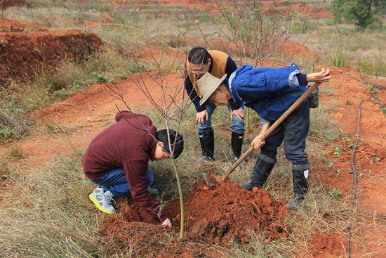 好好学习,去做“农民”-图片1