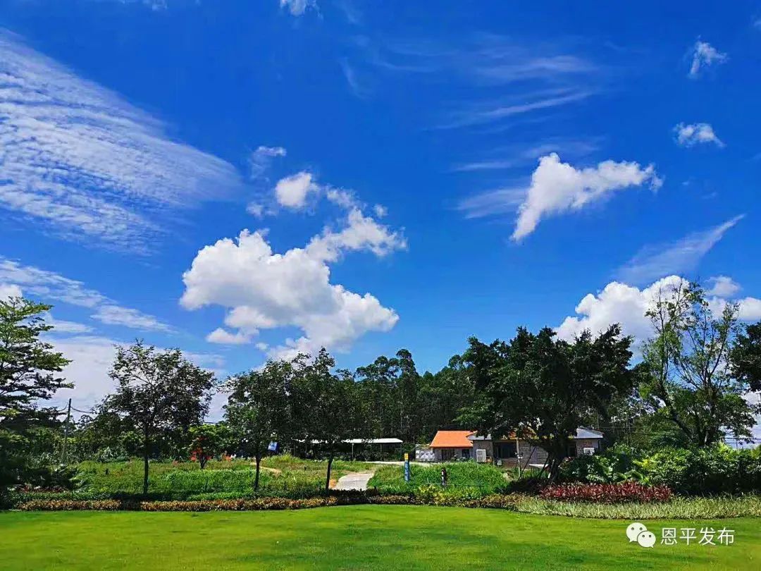 全国第六!有一种靓丽,叫“江门蓝”!-图片13