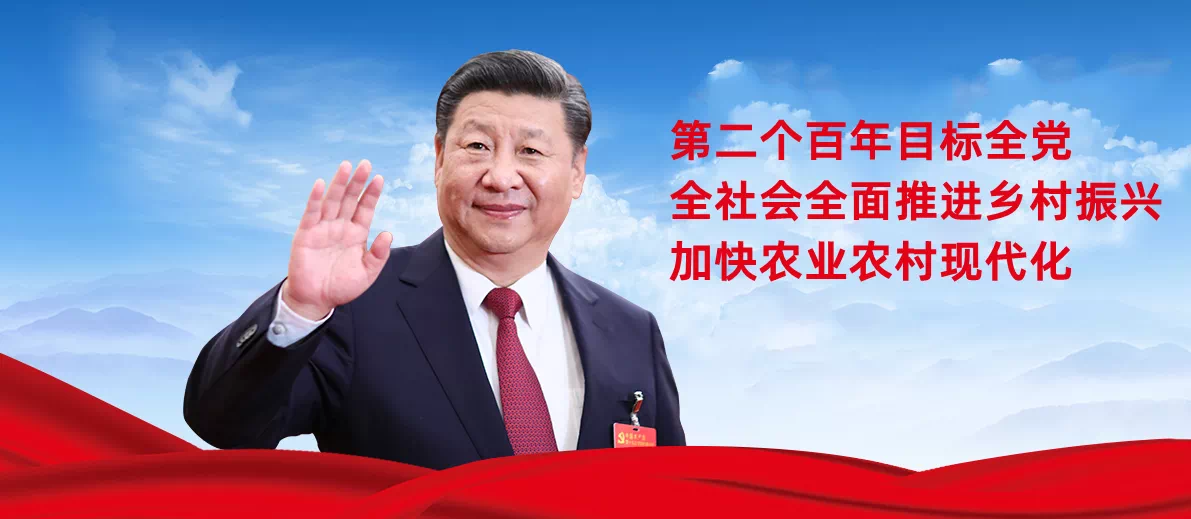 习近平向全国广大青年节日祝贺:在乡村振兴建功立业-图片2