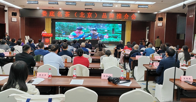 “娄茶京推”开启“南茶北上”新征程-图片1