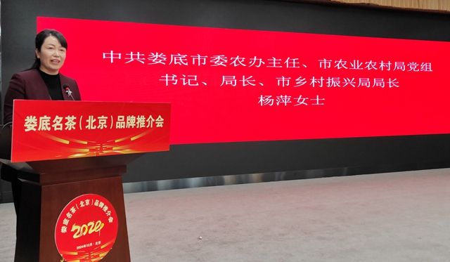 “娄茶京推”开启“南茶北上”新征程-图片3