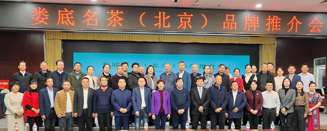 “娄茶京推”开启“南茶北上”新征程-图片5