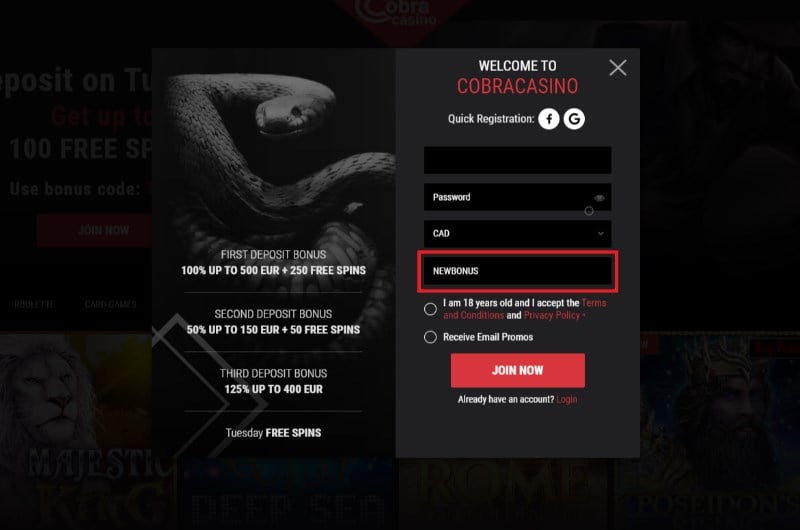Partners 1xBet Веб-обозрение Партнерской Программы от RevenueLab-图片3