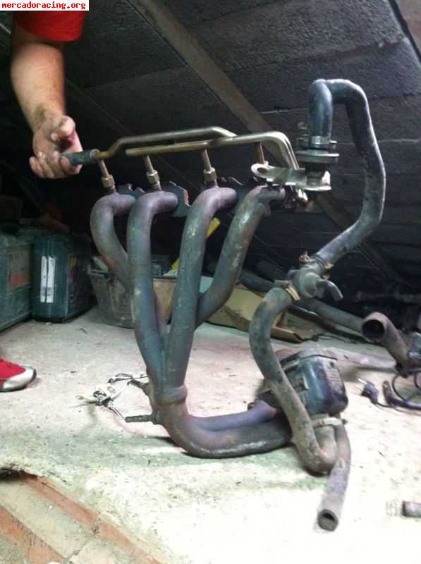 VIP Companion Provider Brooklyn-图片1