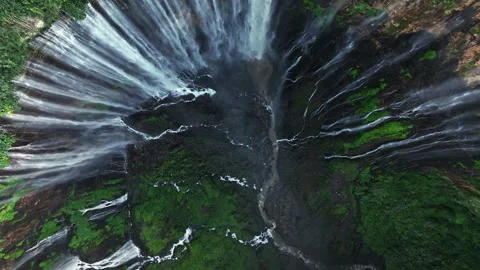 'All Rise' Resurrected That have Season 3 Pickup Because of the Very own; Simone Missick To return