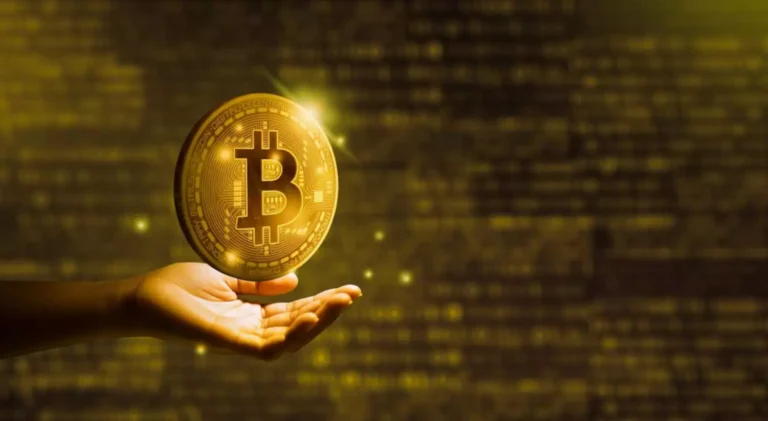 Greatest Crypto Software Wallets For January 2026-图片2