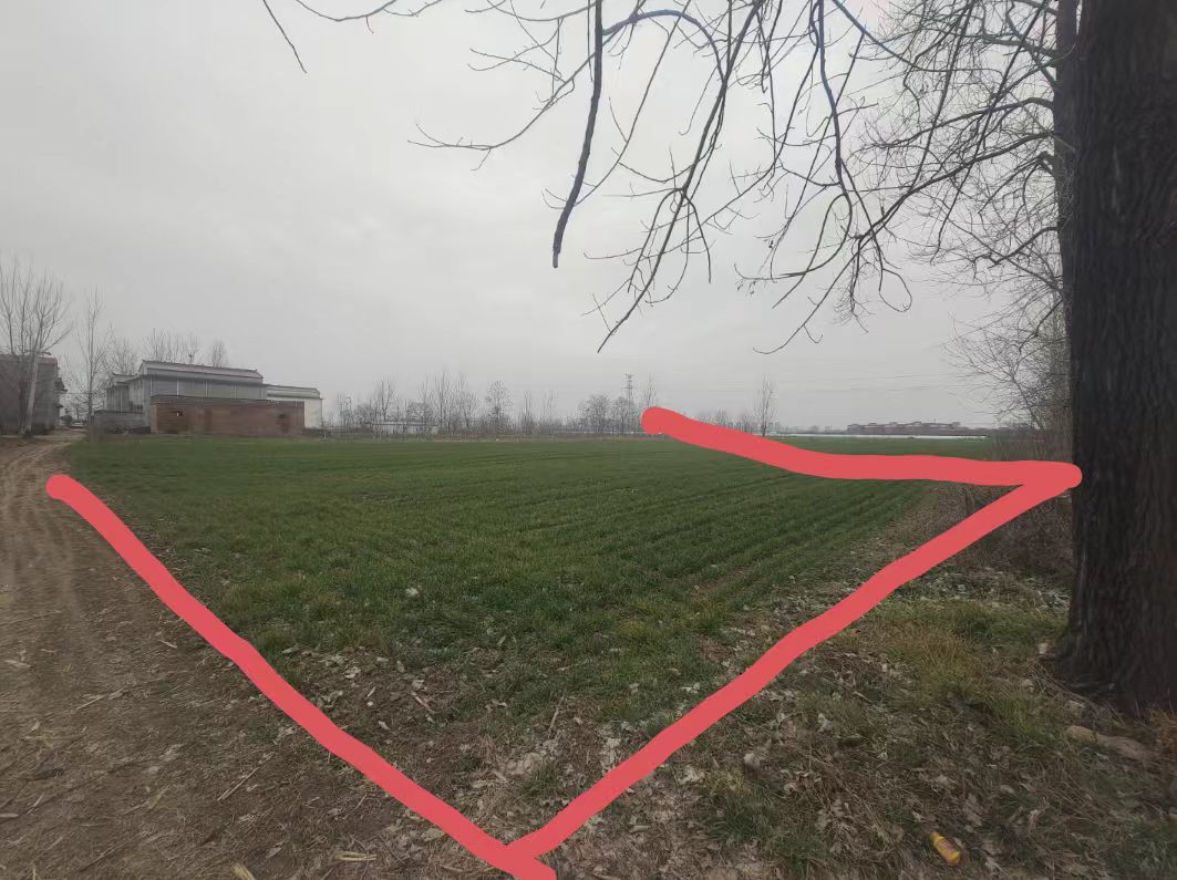 河南沈丘“补贴黑洞”：村民10.6亩地仅补6.61亩，200多万征地款“蒸发”，村支书被指蚕食惠农资金-图片11