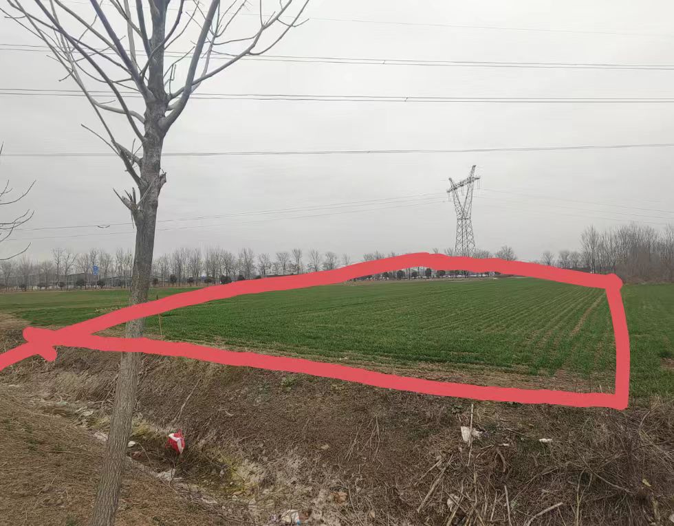 河南沈丘“补贴黑洞”：村民10.6亩地仅补6.61亩，200多万征地款“蒸发”，村支书被指蚕食惠农资金-图片9