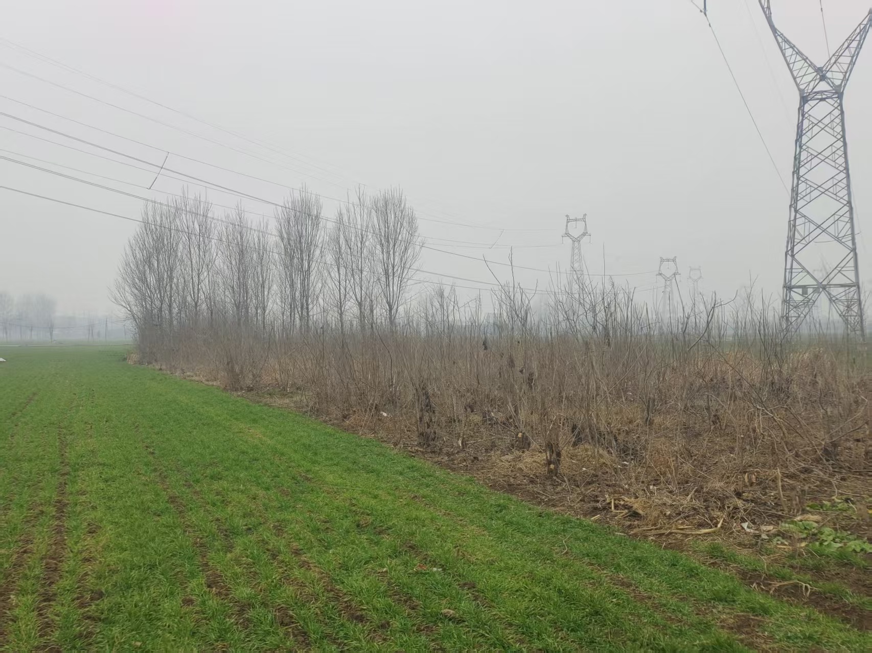 河南沈丘“补贴黑洞”：村民10.6亩地仅补6.61亩，200多万征地款“蒸发”，村支书被指蚕食惠农资金-图片4